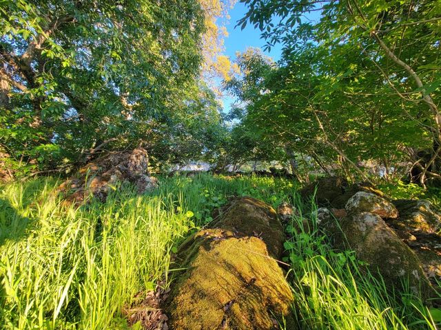 19890 Perimeter Rd, Grass Valley, CA 95949