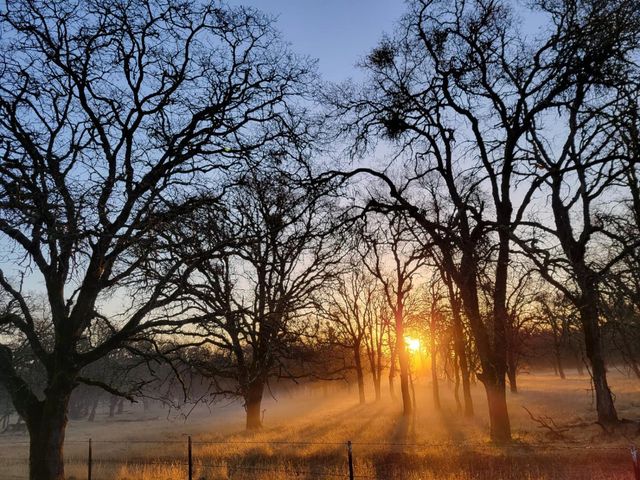19890 Perimeter Rd, Grass Valley, CA 95949