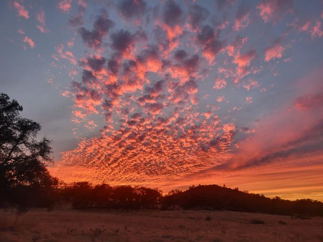19890 Perimeter Rd, Grass Valley, CA 95949
