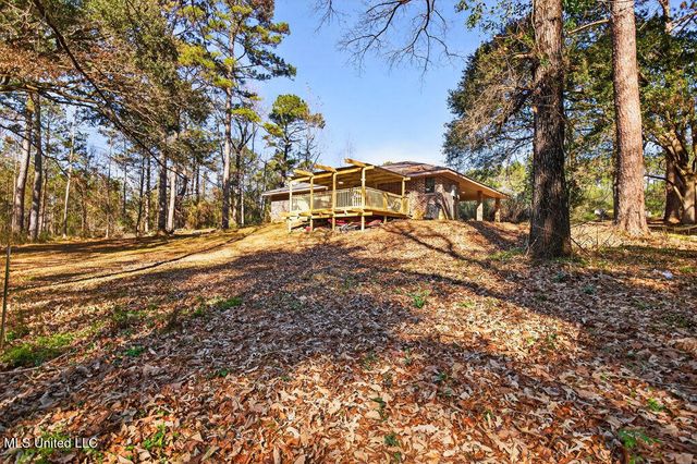 43 Pine Hill Drive, Carriere, MS 39426