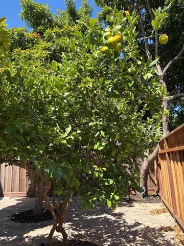 420 Pilgrim Drive, Capitola, CA 95010