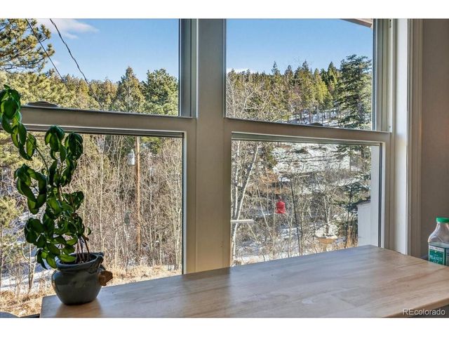 11827 Brook Rd, Golden, CO 80403