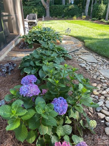 4231 Piaffe Avenue, Mint Hill, NC 28227