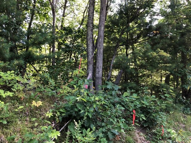 Lot B-2 North Gulf Rd, Belchertown, MA 01007