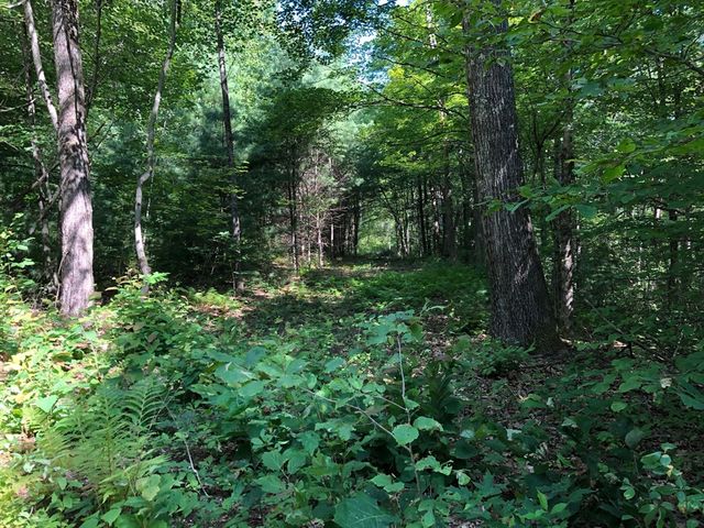 Lot B-2 North Gulf Rd, Belchertown, MA 01007
