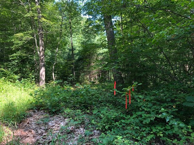 Lot B-2 North Gulf Rd, Belchertown, MA 01007