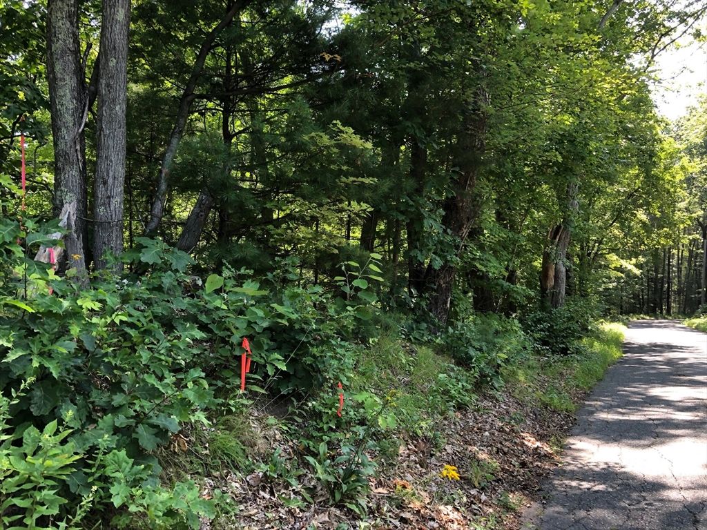 Lot B-2 North Gulf Rd, Belchertown, MA 01007