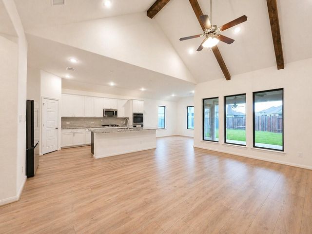 31630 Zoe Point Drive, Hockley, TX 77447