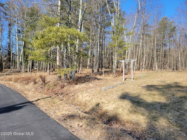 56 Blue Heron Drive Drive Lot 2, Sand Lake, NY 12018