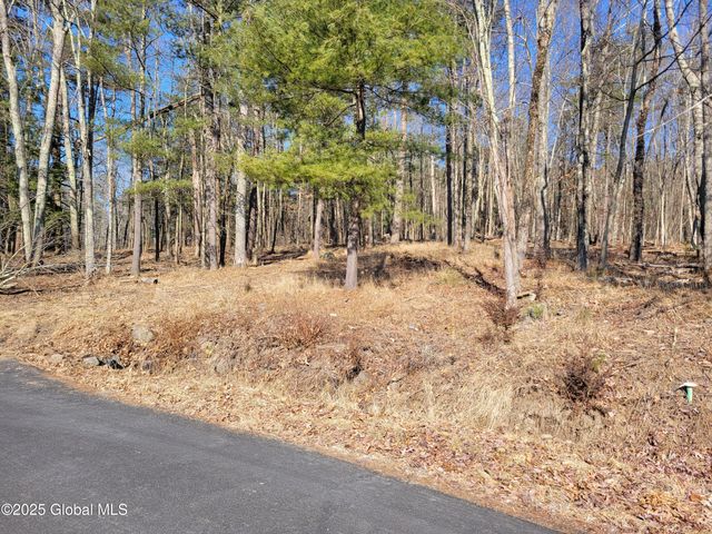 56 Blue Heron Drive Drive Lot 2, Sand Lake, NY 12018
