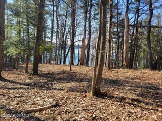 56 Blue Heron Drive Drive Lot 2, Sand Lake, NY 12018