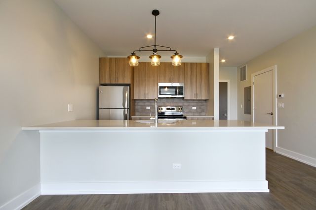 2111 S Halsted Street 201, Chicago, IL 60608