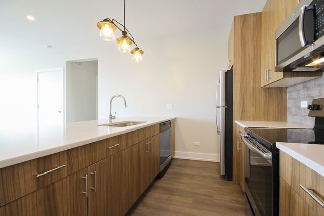 2111 S Halsted Street 201, Chicago, IL 60608