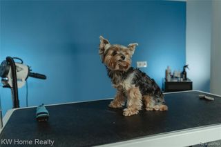 333 Oakland, Novi, MI 48377