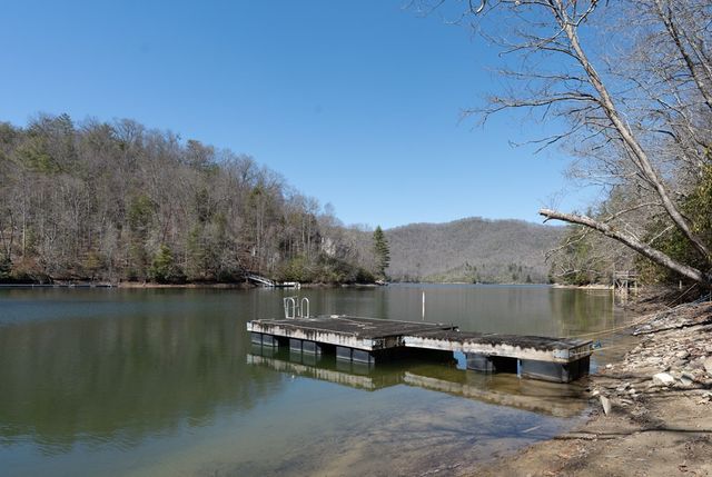 2 HOMES Alpine Shores Lane 20 & 24, Topton, NC 28781