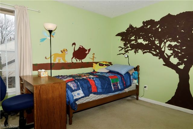 5297 Garfield Boulevard, Sheffield Village, OH 44054