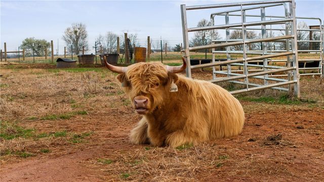 2811 Lebanon Road, Pendleton, SC 29670