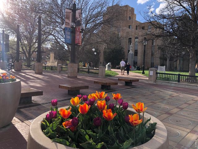 3120 Corona Trl L-206, Boulder, CO 80301