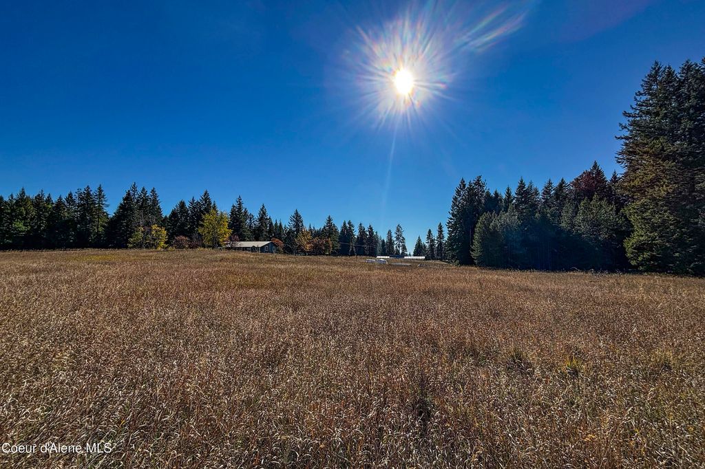 Lot 1 Misty Meadow Ln, Athol, ID 83801 photo 3