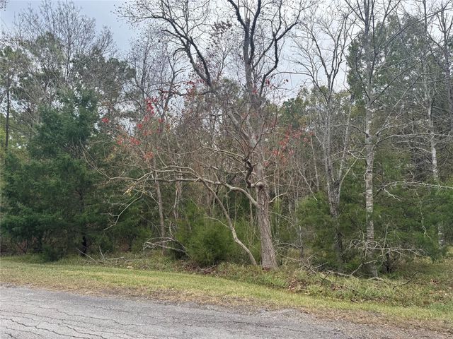 22 S Forest Cove Loop, Coldspring, TX 77331