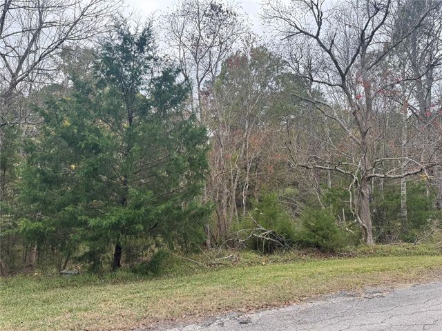 22 S Forest Cove Loop, Coldspring, TX 77331