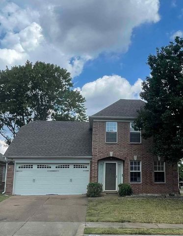 9768 RIGGIN DR, Memphis, TN 38002