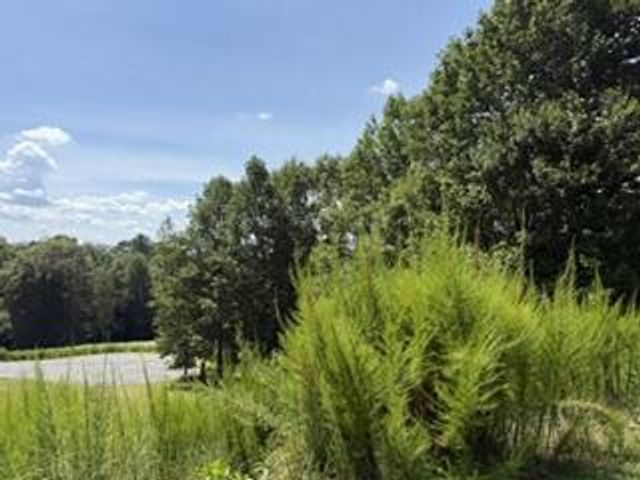 Lot 62 Big Valley Lane, Morganton, GA 30560