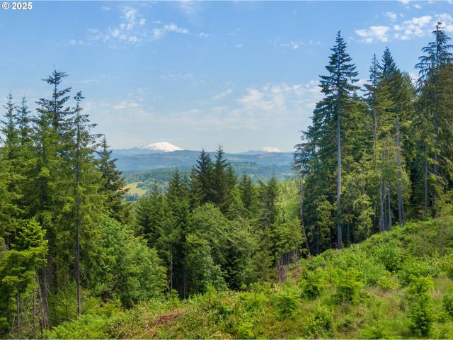 66020 MEISSNER Rd, Deer Island, OR 97054