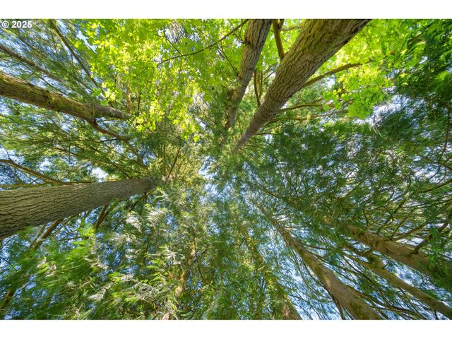 66020 MEISSNER Rd, Deer Island, OR 97054