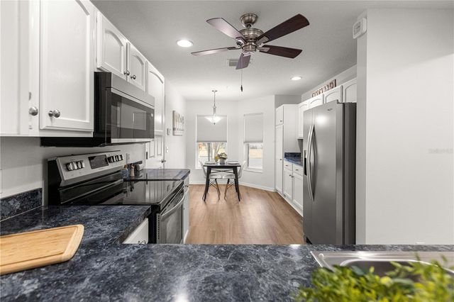 1134 SALIDO AVENUE, Lady Lake, FL 32159