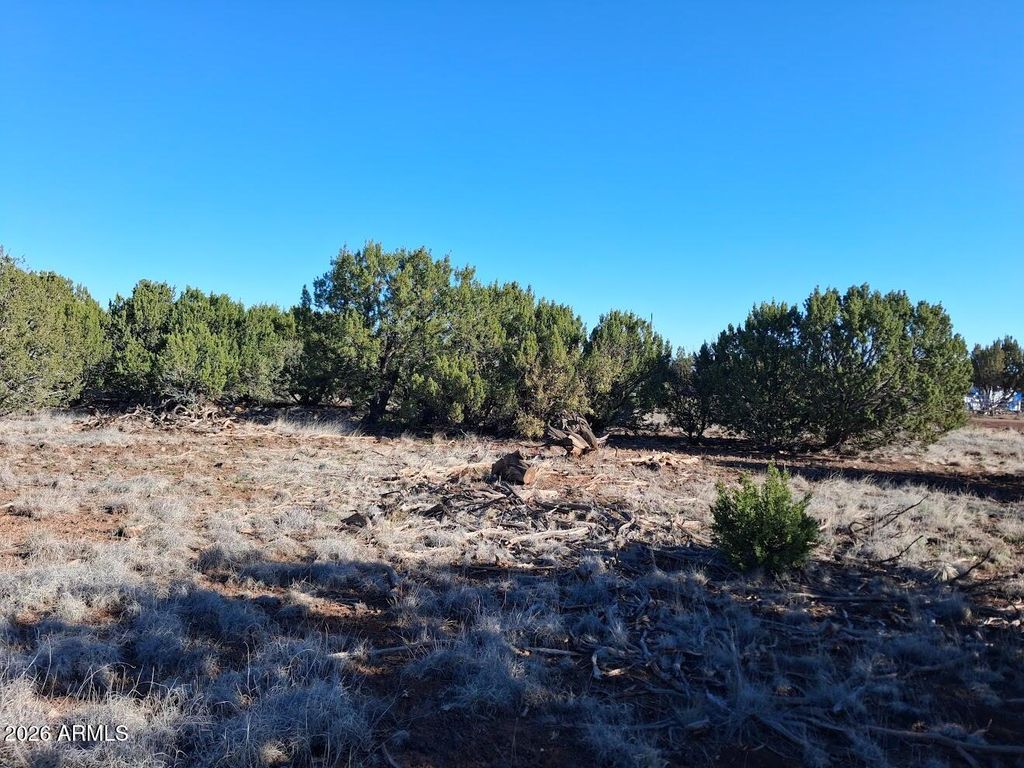 Image 1 of property listing at 1298 GERONIMO Drive -, Show Low, AZ 85901