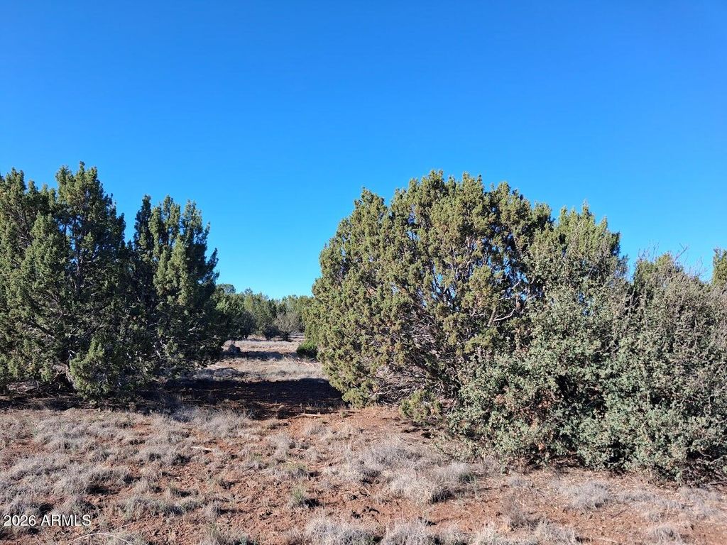 Image 2 of property listing at 1298 GERONIMO Drive -, Show Low, AZ 85901