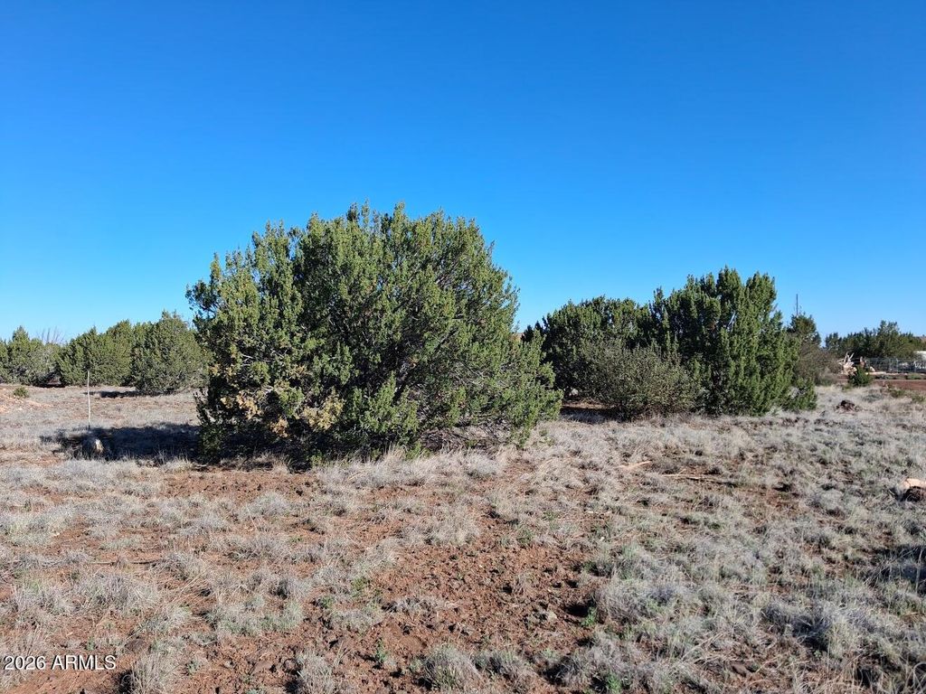 Image 3 of property listing at 1298 GERONIMO Drive -, Show Low, AZ 85901