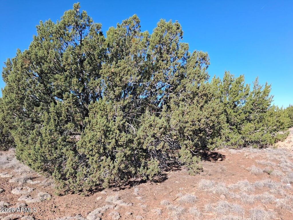 Image 4 of property listing at 1298 GERONIMO Drive -, Show Low, AZ 85901