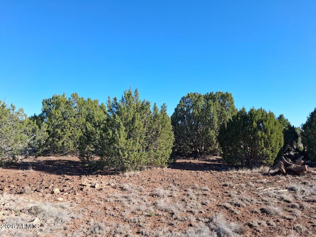 Image 5 of property listing at 1298 GERONIMO Drive -, Show Low, AZ 85901