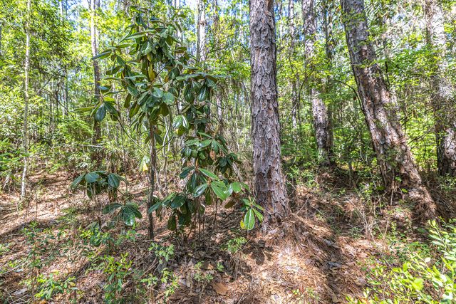 191 Mallet Road, Freeport, FL 32439