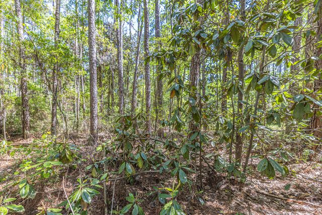 191 Mallet Road, Freeport, FL 32439