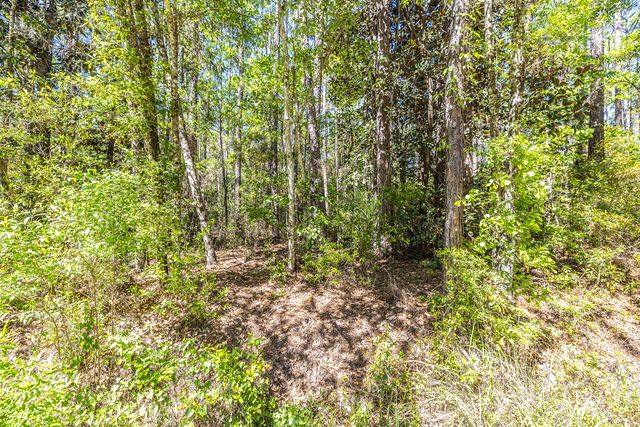 191 Mallet Road, Freeport, FL 32439