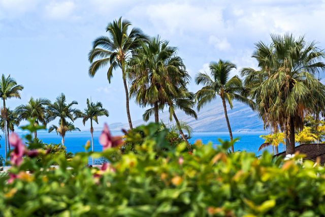 175 W Ikea Moku Pl, Kihei, HI 96753