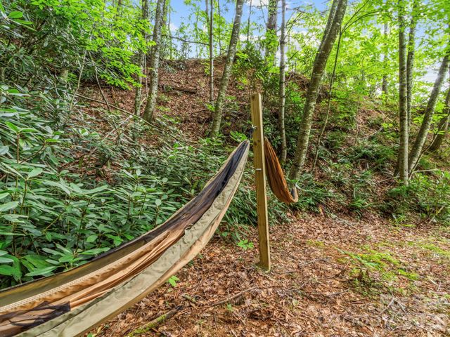 1901 Blue Rock Road, Burnsville, NC 28714