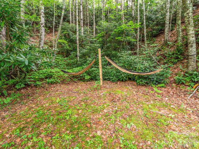 1901 Blue Rock Road, Burnsville, NC 28714