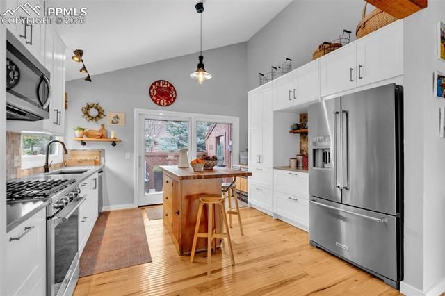 4452 Sentinel Rock NA, Larkspur, CO 80118