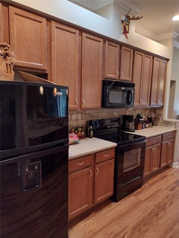 2006 BAYSIDE AVENUE, Mount Dora, FL 32757