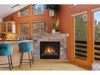 745 N Pine Dr, Bailey, CO 80421