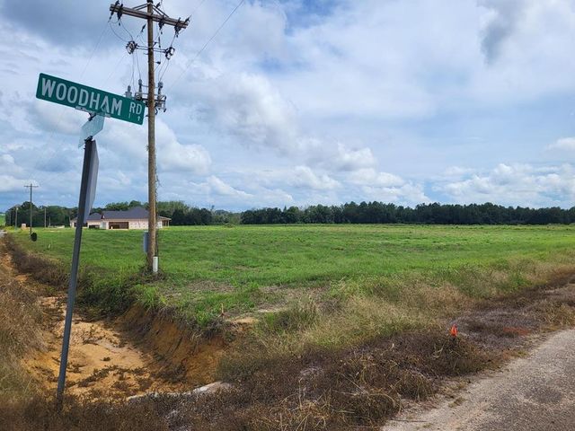 Lot 13 Woodham Rd, Ashford, AL 36312