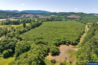 0 Alsea Hwy, Alsea, OR 97324