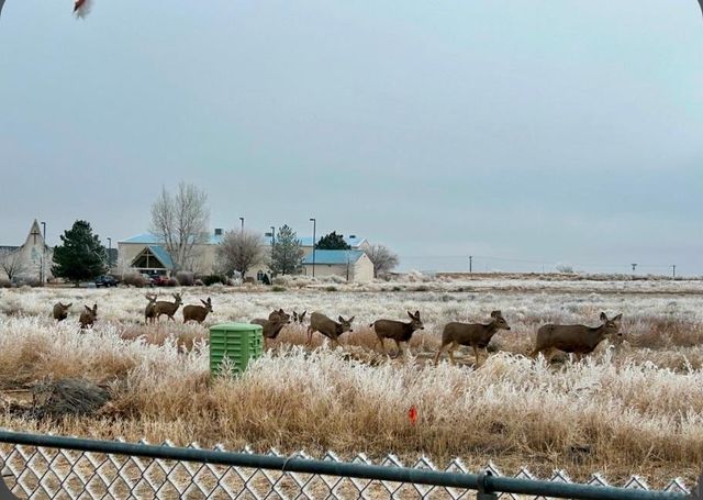 366 E Countryside Dr, Pueblo West, CO 81007