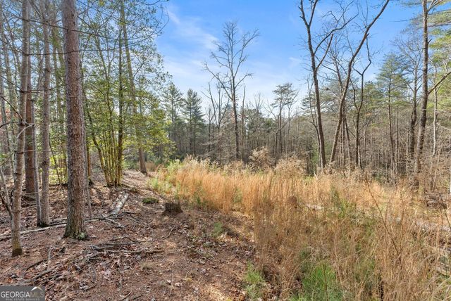 1361 Soque Ridge Circle, Demorest, GA 30535