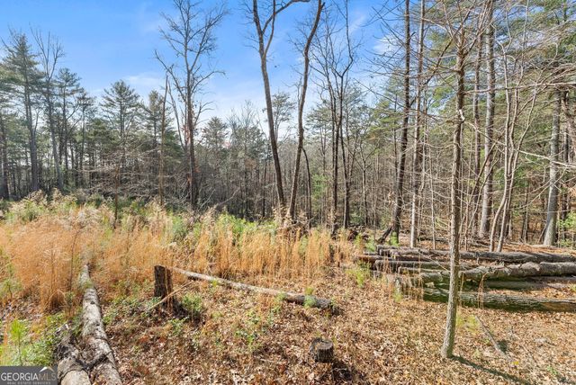 1361 Soque Ridge Circle, Demorest, GA 30535