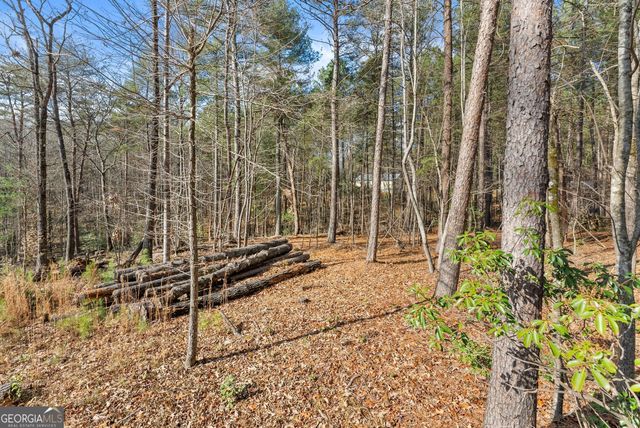 1361 Soque Ridge Circle, Demorest, GA 30535